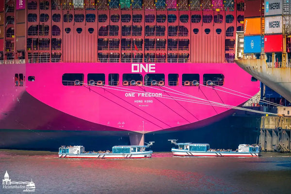 Hamburg Hafen Fotos - Containerschiff ONE FREEDOM und Fahrgastschiffe der Reederrei Rainer Abicht