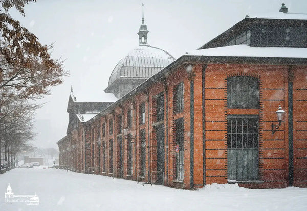 Hamburg Bilder im Winter - Fischauktionshalle im Schneegestöber